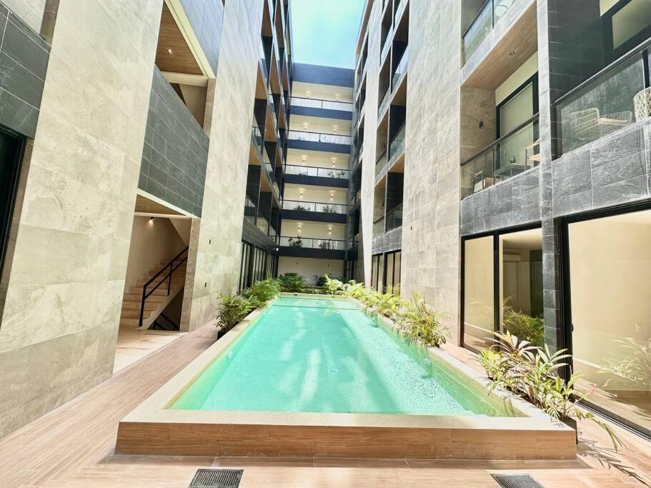 Musa Del Carmen Apartment *